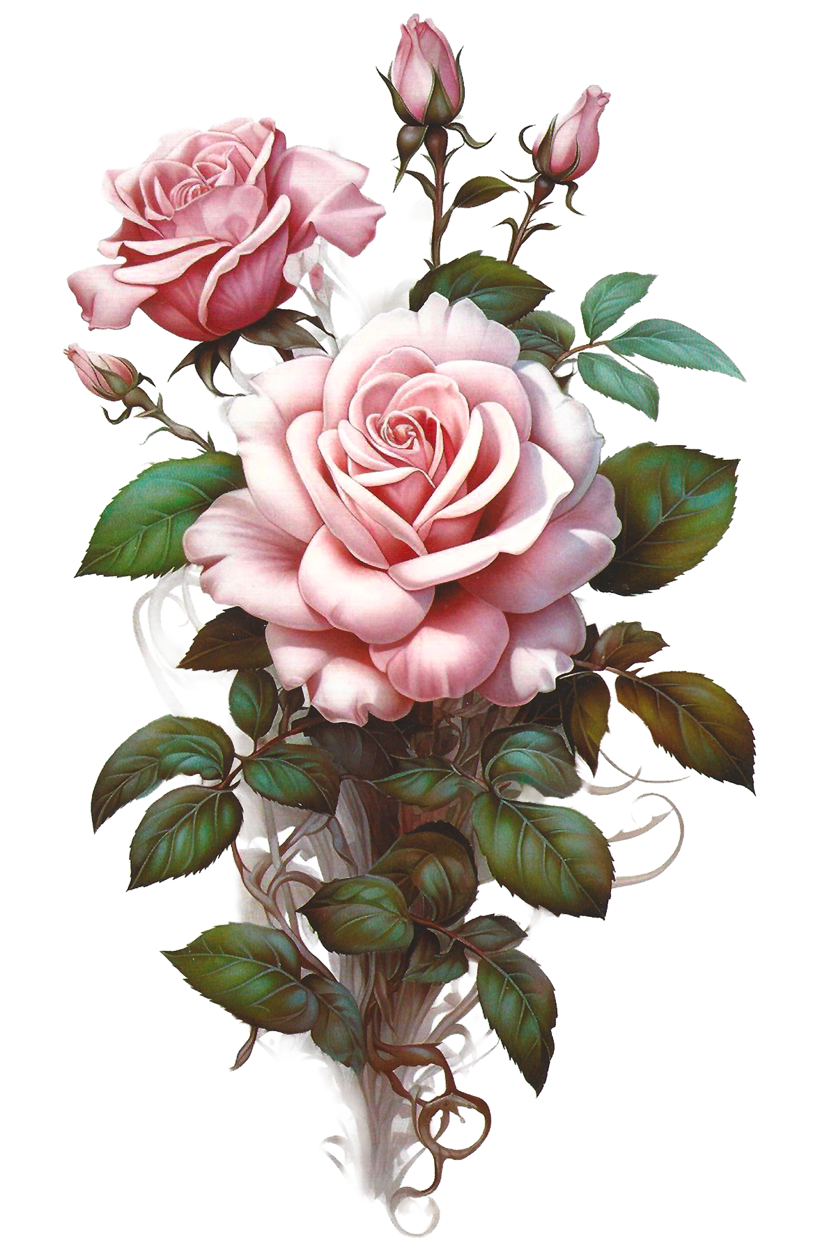 Elegant pink rose tattoo on a white background